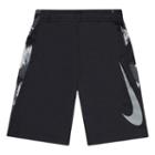 Boys 4-7 Nike Logo Sublimated Dri-fit Mesh Shorts, Size: 4, Grey Other