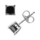 10k White Gold 1-ct. T.w. Black Diamond Solitaire Earrings, Women's