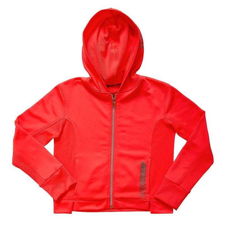 Puma Girls 4-6x Glitter Hoodie, Size: 6x, Orange Oth