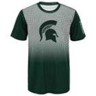 Boys 8-20 Michigan State Spartans Bitmapped Dri-tek Tee, Size: Xl 18-20, Green Oth