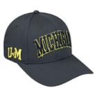 Adult Top Of The World Michigan Wolverines Cool & Dry One-fit Cap, Men's, Grey (charcoal)