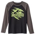 Boys 8-20 Jurassic World Raglan Tee, Boy's, Size: Large, Black