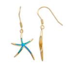 14k Gold Over Silver Lab-created Blue Opal Starfish Drop Earrings, Women's