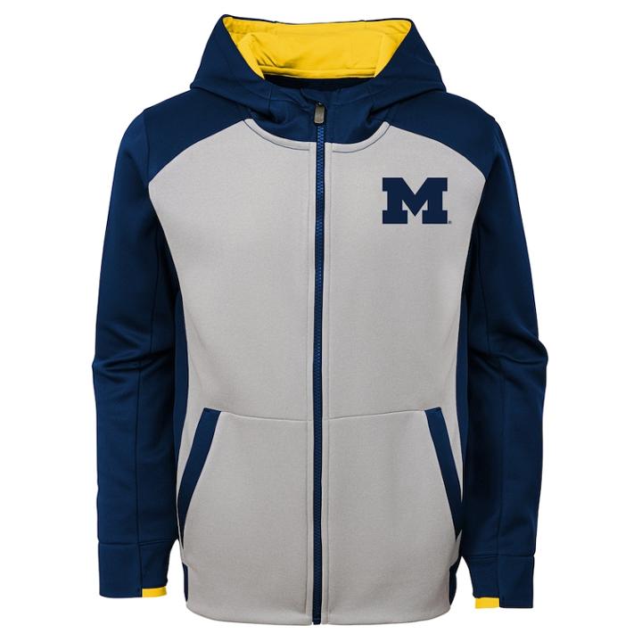 Boys 8-20 Michigan Wolverines Hi-tech Hoodie, Size: L 14-16, Grey