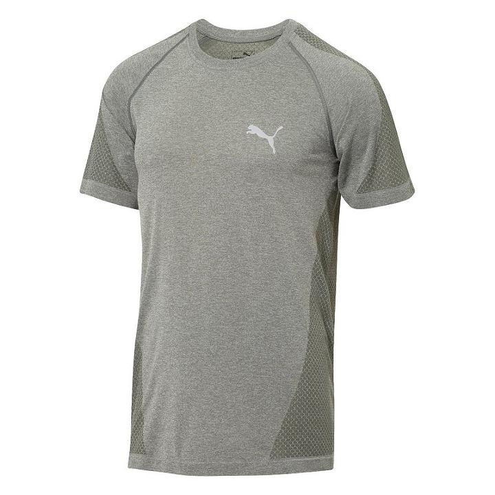 Men's Puma Evoknit Tee, Size: Xl, Grey Other