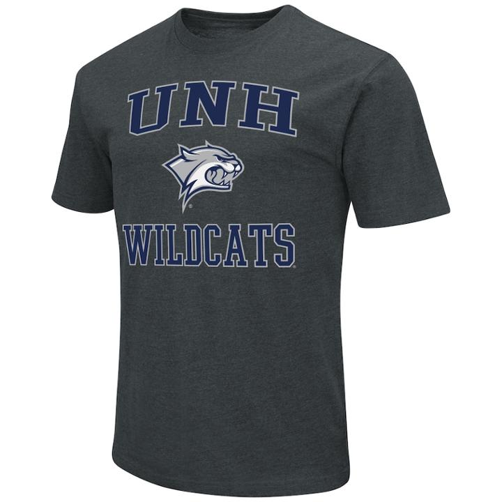 Men's New Hampshire Wildcats Go Team Tee, Size: Large, Brt Blue