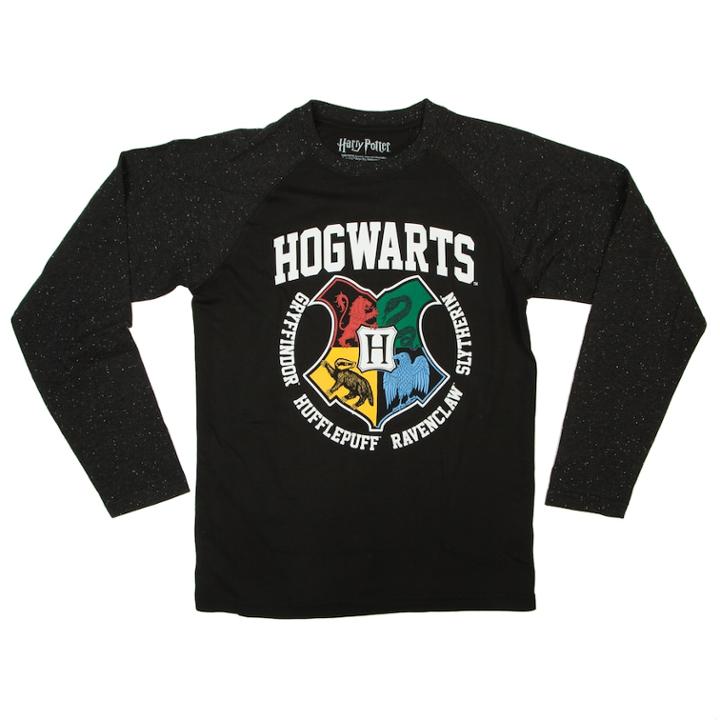 Boys 8-20 Harry Potter Hogwarts Tee, Size: Large, Black