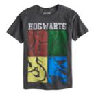 Boys 8-20 Harry Potter Hogwarts Tee, Size: Large, Grey (charcoal)