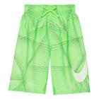 Boys 8-20 Nike Flywire Volley Shorts, Size: Small, Green