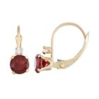 10k Gold Round-cut Garnet & White Zircon Leverback Earrings, Women's, Red