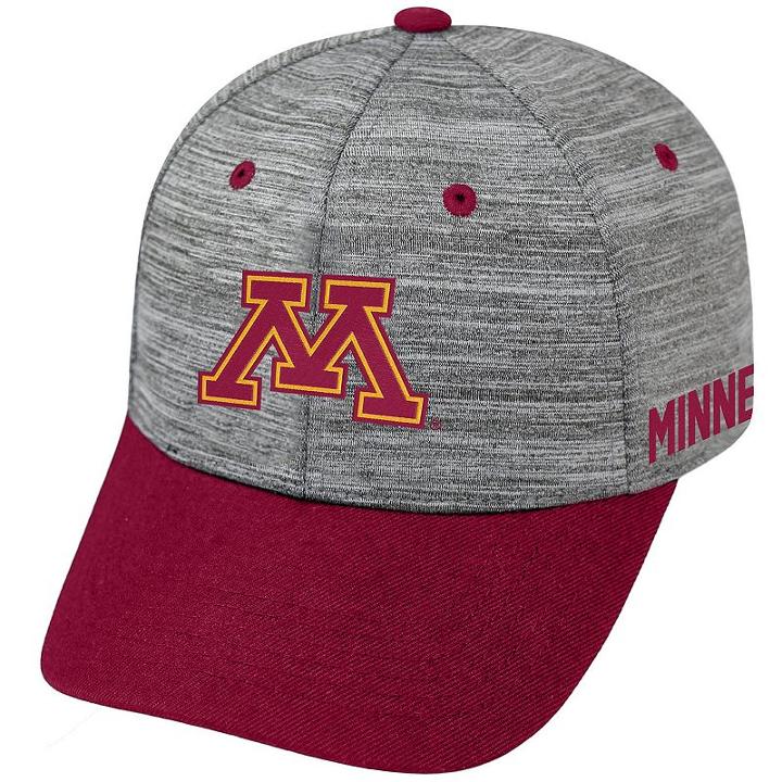 Adult Minnesota Golden Gophers Backstop Snapback Cap, Men's, Med Grey