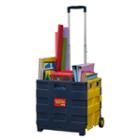 Educational Insights Teacher Tote-all Folding Crate, Kids Unisex, Multicolor