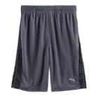 Boys 8-20 Puma Form Striped Shorts, Size: Xl, Grey Other