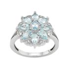Sterling Silver Aquamarine & Diamond Accent Flower Ring, Women's, Size: 6, White