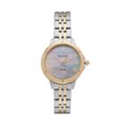Pulsar Women's Easy Style Stainless Steel Solar Watch, Multicolor