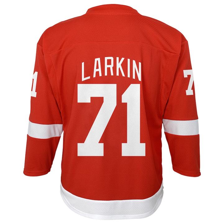 Boys 8-20 Detroit Red Wings Dylan Larkin Replica Jersey, Size: L/xl