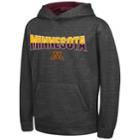Boys 8-20 Campus Heritage Minnesota Golden Gophers Pullover Hoodie, Size: L(16/18), Oxford