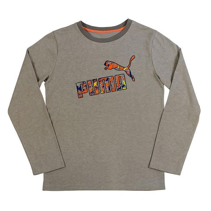 Boys 4-7 Puma Tee, Boy's, Size: 6, Grey Other