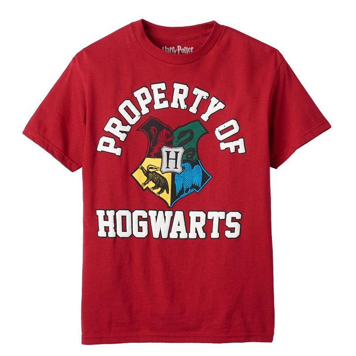 Boys 8-20 Harry Potter Property Of Hogwarts Tee, Boy's, Size: Large, Red