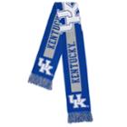 Adult Forever Collectibles Kentucky Wildcats Big Logo Scarf, Women's, Multicolor