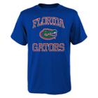 Boys 8-20 Florida Gators Gridiron Hero Tee, Size: L 14-16, Blue Other