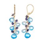 14k Gold Blue Topaz & Iolite Cluster Drop Earrings, Women's