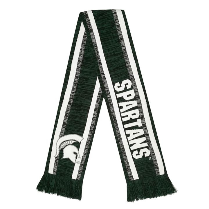 Forever Collectibles Michigan Wolverines Knit Scarf, Adult Unisex, Multicolor