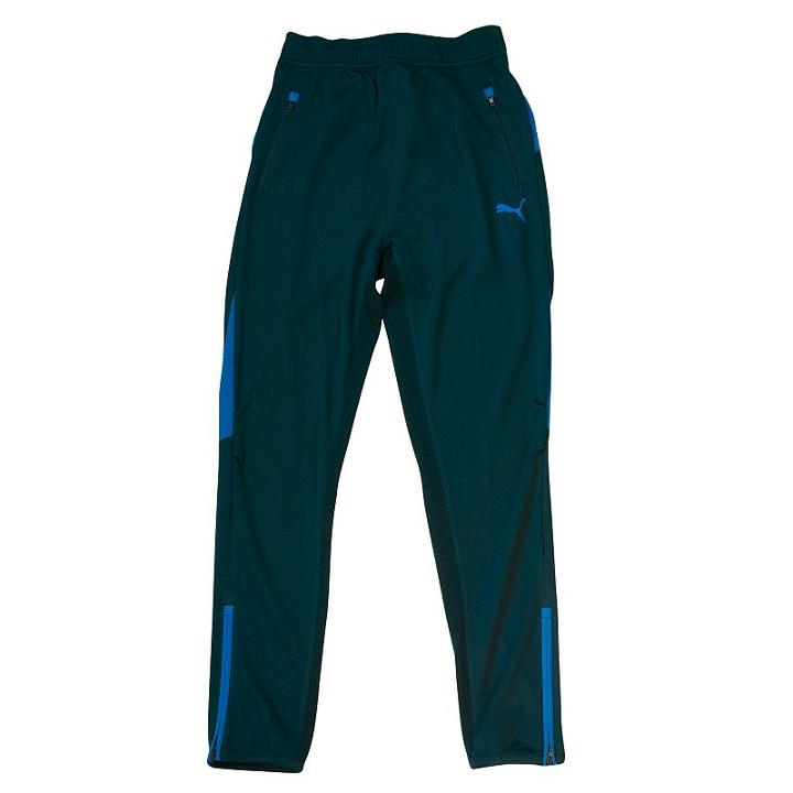 Boys 4-7 Puma Colorblock Tech Pants, Boy's, Size: 4, Blue Other