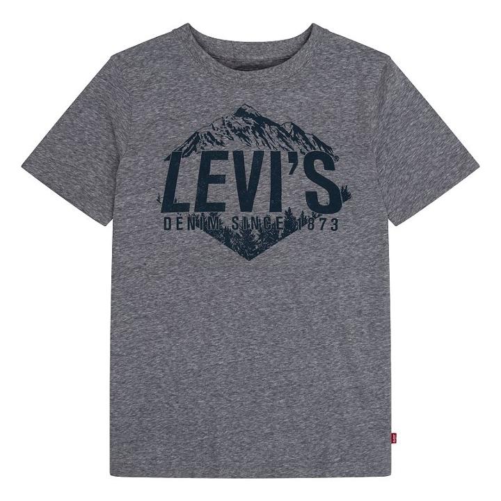 Boys 8-20 Levi's Logo Tee, Boy's, Size: Medium, Med Grey