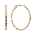 14k Gold Oval Hoop Earrings, Women's, Yellow