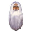Adult Merlin Wizard Costume Wig & Beard, White