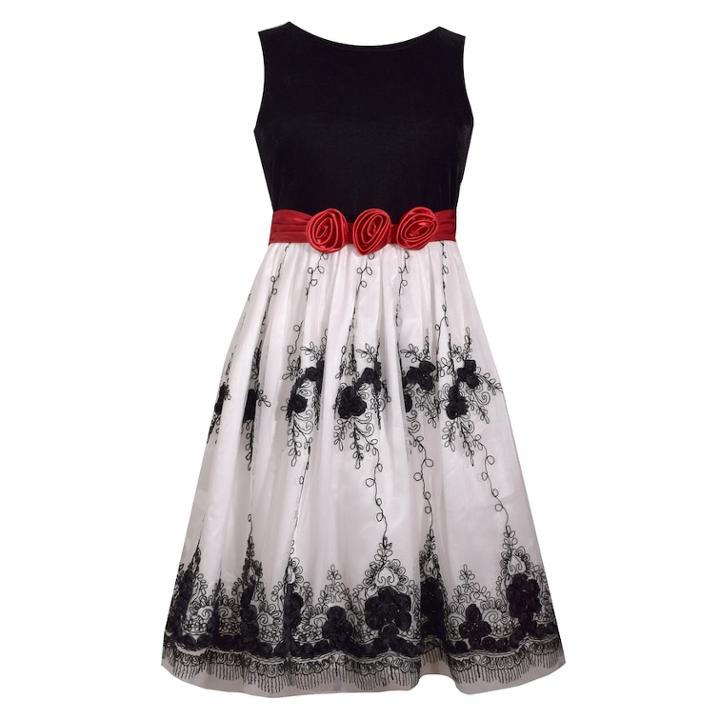 Girls 7-16 & Plus Size Bonnie Jean Velvet & Embroidered Mesh Dress, Size: 7, White Oth