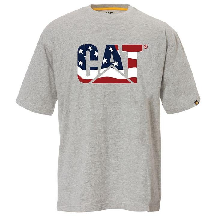 Men's Caterpillar Custom Logo Tee, Size: Xl, Blue
