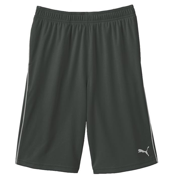 Boys 8-20 Puma Core Shorts, Boy's, Size: L(14/16), Grey (charcoal)
