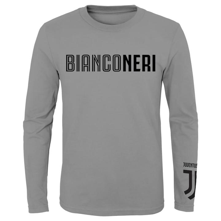 Boys 8-20 Juventus Fc International Soccer Tee, Size: Xl 18-20, Grey