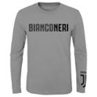 Boys 8-20 Juventus Fc International Soccer Tee, Size: Xl 18-20, Grey