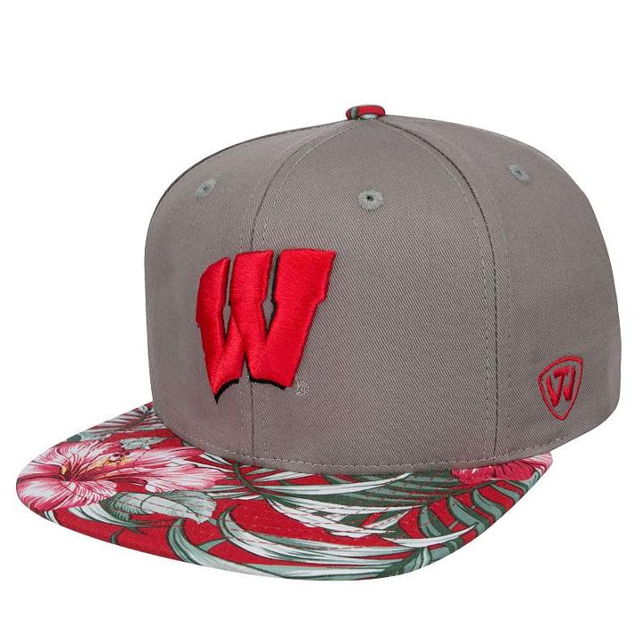 Adult Top Of The World Wisconsin Badgers Coast Adjustable Cap, Men's, Med Grey