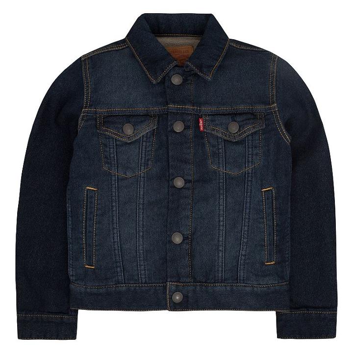 Boys 4-7x Levi's Trucker Denim Jacket, Size: 4, Purple Oth