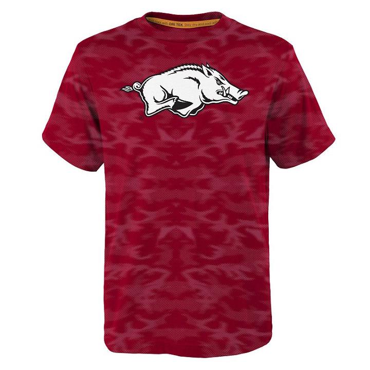 Boys 8-20 Arkansas Razorbacks Vector Dri-tek Tee, Size: L 14-16, Red