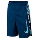 Boys 8-20 Nike Legacy Shorts, Boy's, Size: Xl, Light Blue