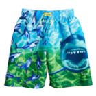 Boys 4-7 National Geographic Sharks & Fish Swim Trunks, Size: 5-6, Multi