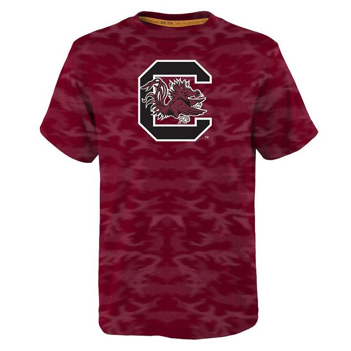 Boys 8-20 South Carolina Gamecocks Vector Dri-tek Tee, Size: L 14-16, Dark Red
