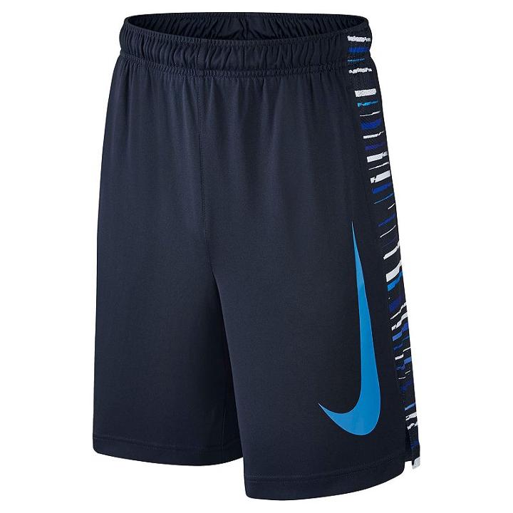 Boys 8-20 Nike Legacy Shorts, Boy's, Size: Large, Light Blue