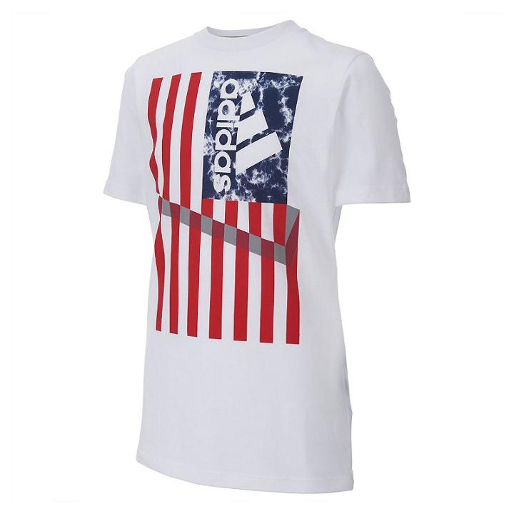 Boys 8-20 Adidas Climalite Patriotic Tee, Boy's, Size: Medium, White