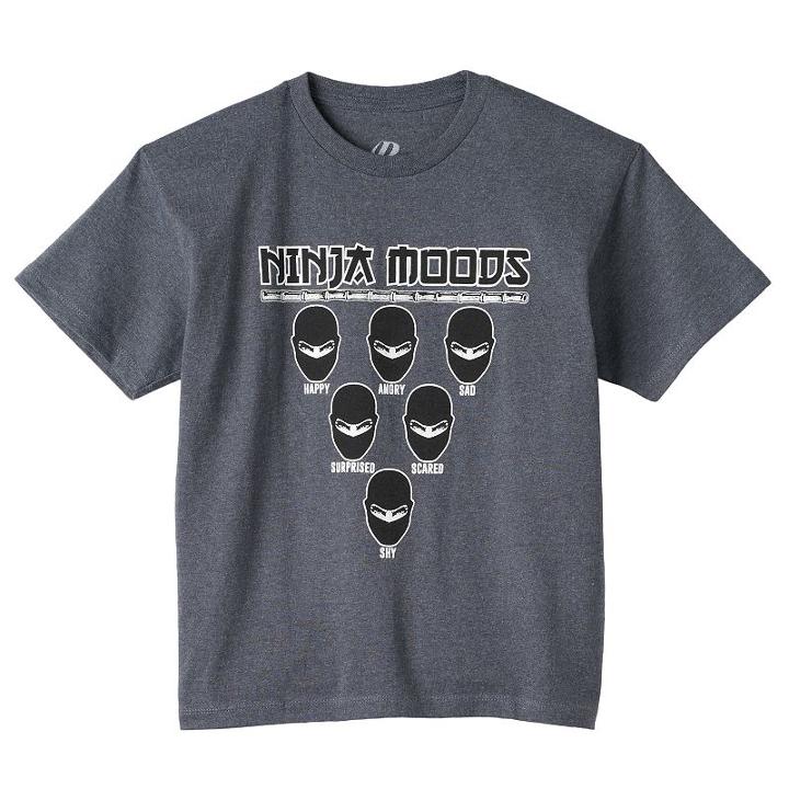 Boys 8-20 Ninja Moods Tee, Boy's, Size: Medium, Grey