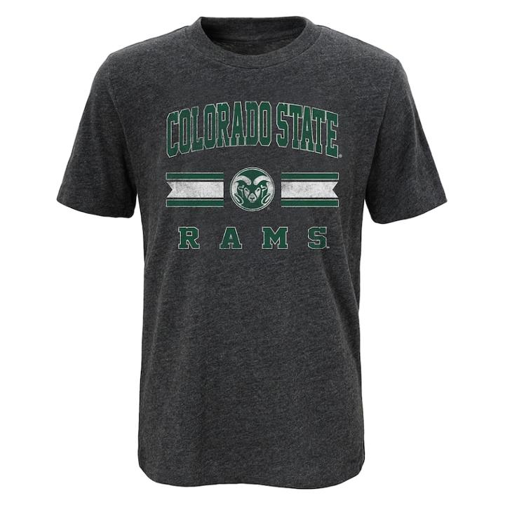 Boys 4-18 Colorado State Rams Player Pride Tee, Size: 12-14, Grey