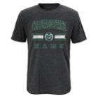 Boys 4-18 Colorado State Rams Player Pride Tee, Size: 12-14, Grey