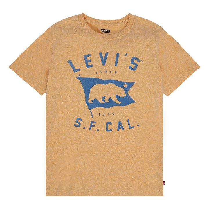 Boys 8-20 Levi's Logo Tee, Boy's, Size: Large, Gold