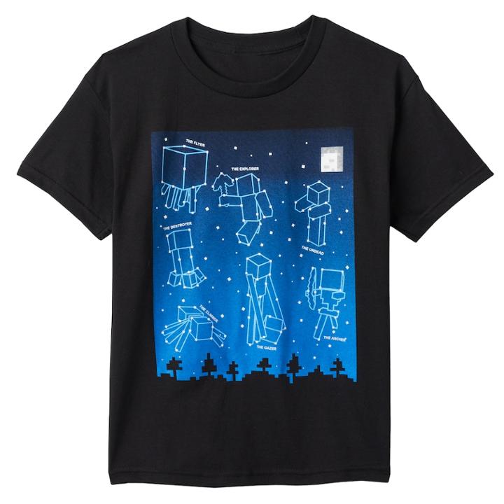 Boys 8-20 Minecraft Constellation Glow-in-the-dark Tee, Size: Large, Black
