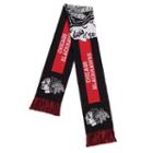 Adult Forever Collectibles Chicago Blackhawks Big Logo Scarf, Multicolor